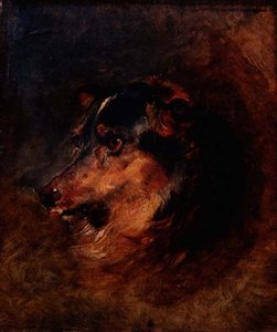 Egy collie kutya vezető tanulmánya alkotó: Edwin Landseer
