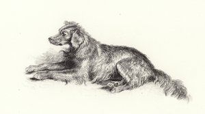 Egy szetter kutya alkotó: Edwin Landseer