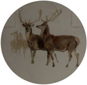 Szarvas a tájban (Szarvasok tanulmányozása) alkotó: Edwin Landseer