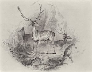 A Glenben alkotó: Edwin Landseer