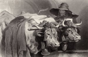 Ökrök a tanknál, Genf, Svájc alkotó: Edwin Landseer