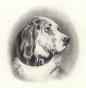 A véreb alkotó: Edwin Landseer