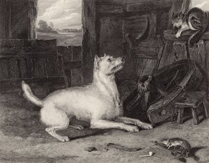 A Betolakodó alkotó: Edwin Landseer