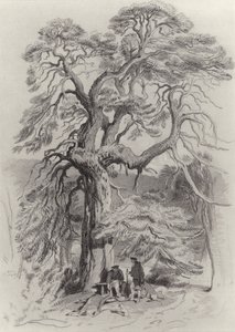 Az öreg fenyő alatt alkotó: Edwin Landseer