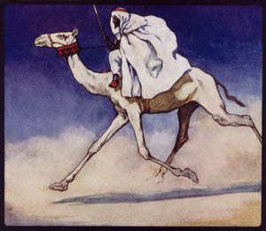 Racing Camel (színes litho)