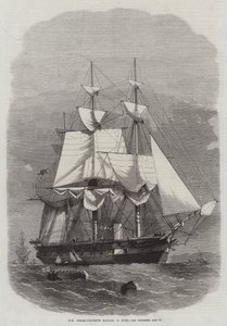 HM Steam-Corvette Racoon, 22 fegyver