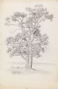 Tölgy alkotó: Eero Järnefelt