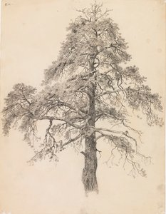 Fenyőcsúcs alkotó: Eero Järnefelt