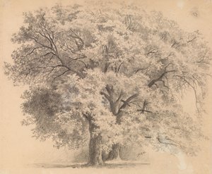  alkotó: Eero Järnefelt
