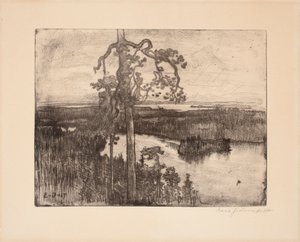Cím nélkül alkotó: Eero Järnefelt