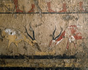 Egyiptomi ókor: bétafark tenyésztése. Neferou királynő sírjának freskója III. 12. dinasztia. Kr.e. 2200-2000. El Ghebelenből. Torino, egyiptomi múzeum alkotó: Egyptian 12th Dynasty