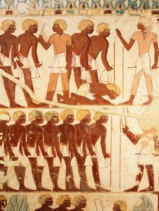 Részlet freskókról, amelyek az adagot kapó hadsereget ábrázolják, Userhat sírjából (TT56) alkotó: Egyptian 18th Dynasty
