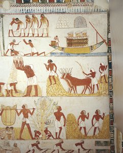 Egyiptom, Théba, Luxor, Abd al-Qurna sejk, Menna királyi birtokfelügyelő sírja, előcsarnok, falfestmények, szántóföldi munka alkotó: Egyptian 18th Dynasty