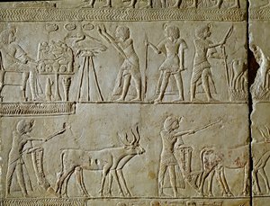 Egyiptomi antikvitás: szántóföldi munka jelenetei és felajánlások a fáraónak. Horemhed (kb. i.e. 1323-1293) Tutanhamon királyi írnok sírjának domborművének részlete. Kr.e. 1354-1326. Bologna, Civico Museo Archeologico alkotó: Egyptian 18th Dynasty