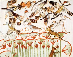 Horgászat és madarászat a mocsarakban, részlet a madarakról, Menna sírkápolnája, Újbirodalom (falfestmény) alkotó: Egyptian 18th Dynasty