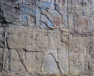 Hathor istennő szent tehén alakjában, festett dombormű, Hathor kápolnája, Hatsepszut királynő halotti temploma, más néven Djeser-Djeseru, Deir el-Bahri, Théba (Unesco Világörökség listája). alkotó: Egyptian 18th Dynasty