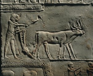 Horemheb szántás közben Iaru mezején. Horemheb sírjának reliefje Szakkarában, részlet. alkotó: Egyptian 18th Dynasty