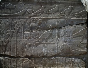 III. Thutmosz i.e. 1465-ös szíriai expedíciójáról hazahozott növények és állatok, domborműrészlet, úgynevezett botanikus kert, Amun temploma, karnaki templomkomplexum, egyiptomi civilizáció, új birodalom, XVIII. dinasztia alkotó: Egyptian 18th Dynasty