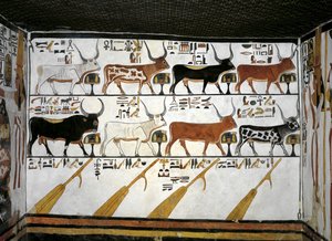 Egyiptom, Théba, Luxor, A Királynők Völgye, Nefertari sírja, az előszoba melléklete, Falfestmények, Illusztrált halottak könyve, 89. fejezet alkotó: Egyptian 19th Dynasty