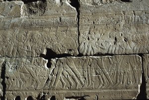 Relief, Amun-templom, Luxor, ókori Théba (UNESCO Világörökségi lista) alkotó: Egyptian 19th Dynasty