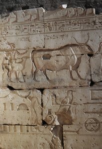 Dombormű, Ramszesz temploma, Abydos, Egyiptom, egyiptomi civilizáció, Újbirodalom, XIX. dinasztia (fotó) alkotó: Egyptian 19th Dynasty