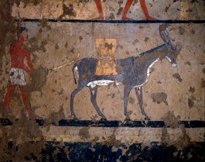 Egyiptomi ókor: „” gabonaszállítás öszvér hátán”” Temperafestmény Iti (vagy Ity) király kancellár sírjának faláról Kr.e. 2200-2000. El Ghebelenből, Luxorból. Torino, egyiptomi múzeum alkotó: Egyptian Egyptian