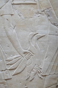 2 libát szárnyánál fogva tartó kéz, Ramose sírja alkotó: Egyptian Egyptian
