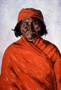 Geronimo, 1900 körül (illusztráció) alkotó: Elbridge Ayer Burbank