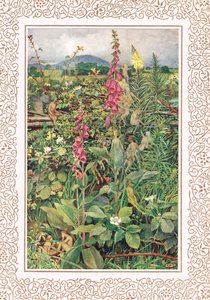 Naues Fairies among Foxgloves, illusztráció Alfred Tennyson (1809-92) "Idylls of the King" című könyvéből, kiadó: Hodder & Stoughton alkotó: Eleanor Fortescue Brickdale