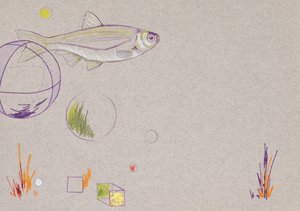Lebegés, 2014 (akvarell ceruza és levélarany, papír)
