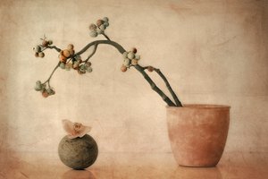 Földes bogyós gyümölcsök és orchidea alkotó: Elena Arjona