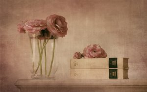 Lágy rózsaszín ranunculus csendélet alkotó: Elena Arjona