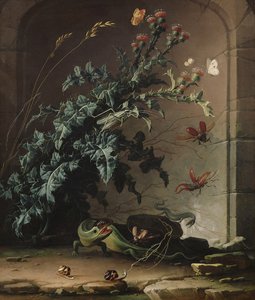 Kőrés bogáncssal, gyíkkal és rovarokkal, 1690