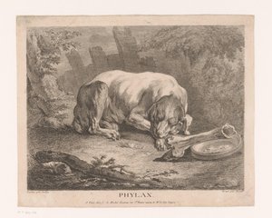 Alvó kutya Phylax (cím a tárgyon) alkotó: Élie du Mesnil