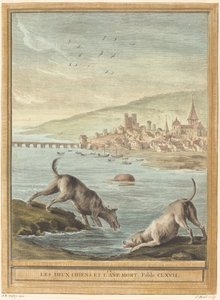 Két kutya és a döglött szamár alkotó: Elie du Mesnil after Jean Baptiste Oudry
