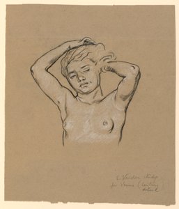 Tanulmány a "Vénusz" számára alkotó: Elihu Vedder