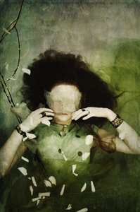Hiding the thru you, 2013 (szitanyomat)