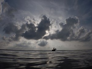 Horse Horizon, 2014 (szitanyomat) alkotó: Elinleticia Högabo