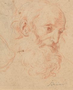 Egy szakállas öregember feje alkotó: Elisabetta Sirani