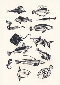 Monotone Plain Fish, 2015 (szitanyomás)