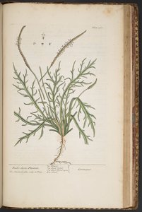 Plate 460, from 