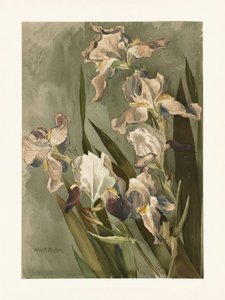  alkotó: Elizabeth F. Parker