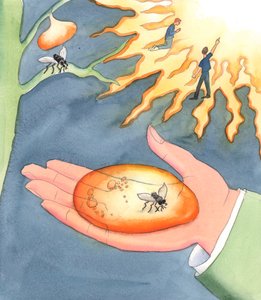 Mit jelent a pokol vagy a mennyország „örökkévalósága”? Azt jelenti, hogy „megváltozhatatlanul elfogott”, akár önzésben, akár kegyelmi állapotban; vagy örökké Isten nélkül tartva, egy indivi szabad döntései által alkotó: Elizabeth Wang