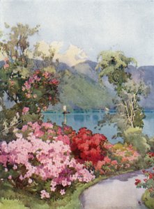 Azálea, Comói-tó (színes litho) alkotó: Ella Du Cane