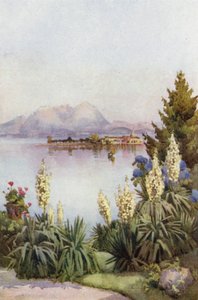 Isola Pescatori Bavenóból, Maggiore-tó (színes litho) alkotó: Ella Du Cane