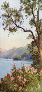 Lecco-tó, Comói-tó (színes litho) alkotó: Ella Du Cane