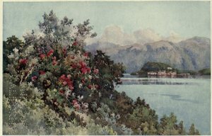 Rózsa, Villa Carlotta, Lago di Como, Illusztráció: "Az olasz tavak", Richard Bagot alkotó: Ella Du Cane