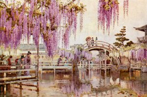 Wistaria, Kameido (színes litho) alkotó: Ella Du Cane