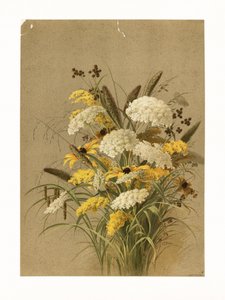 Hemlock, szarvasfű és aranyvessző
