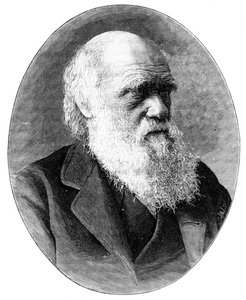 Charles Darwin, 19. századi angol természettudós, 1900.